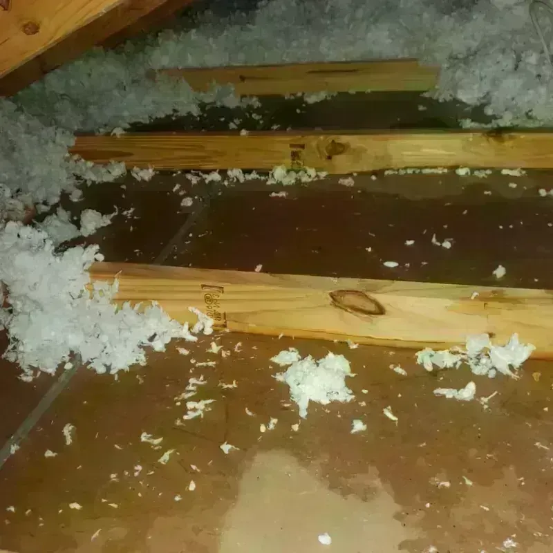 Attic Water Damage in Surgoinsville, TN